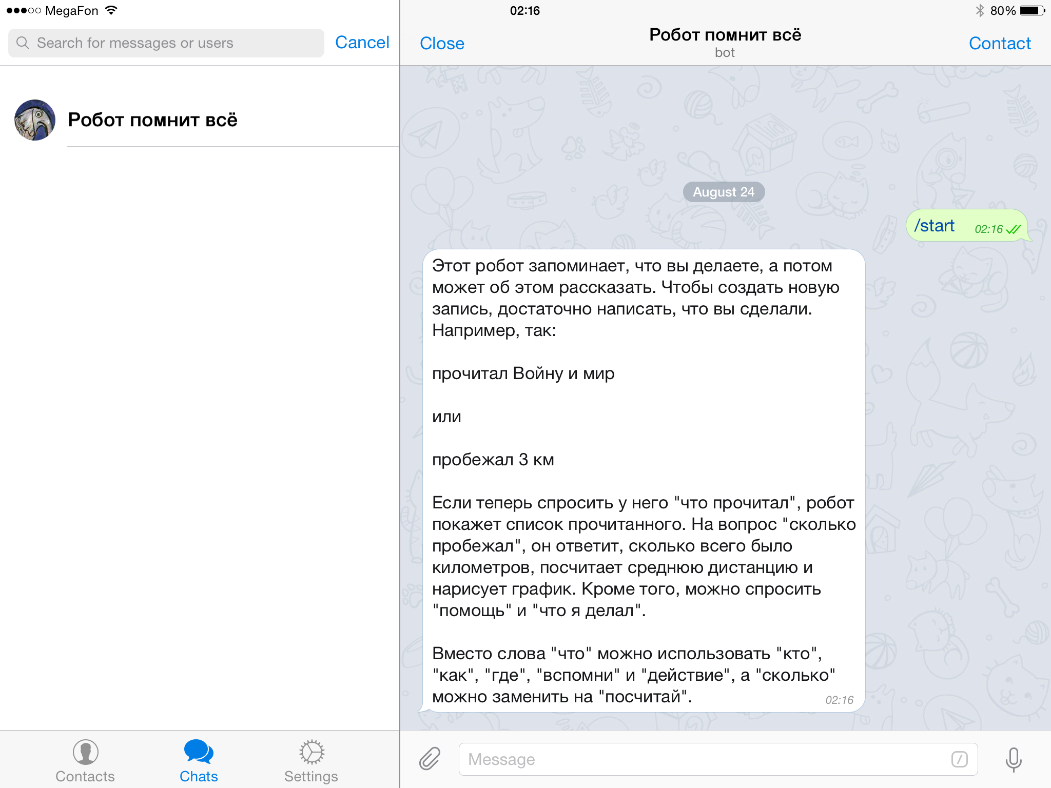 Первая встреча с ботом